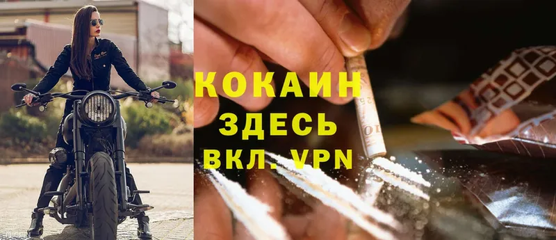 Cocaine Fish Scale  Петровск 