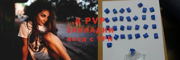 ALPHA PVP Беломорск